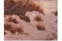 Signature image, click to enlarge