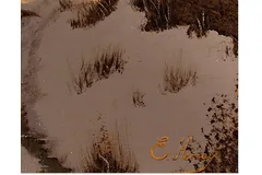 Signature image, click to enlarge