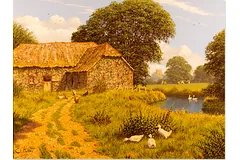 No frame image, click to enlarge