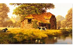 No frame image, click to enlarge