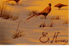 Signature image, click to enlarge