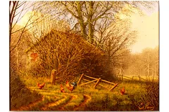 No frame image, click to enlarge