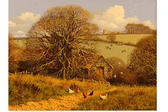 No frame image, click to enlarge
