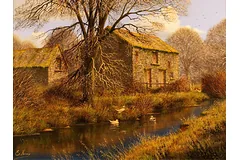 No frame image, click to enlarge
