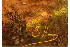Signature image, click to enlarge