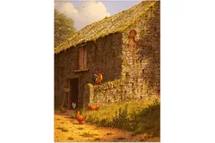 No frame image, click to enlarge