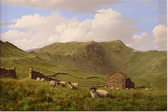 No frame image, click to enlarge