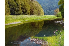 Signature image, click to enlarge