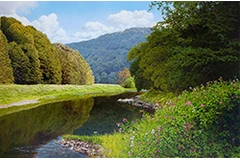 Large image, click to enlarge