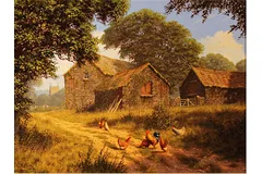No frame image, click to enlarge