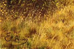 Signature image, click to enlarge