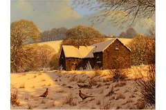 No frame image, click to enlarge