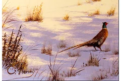 Signature image, click to enlarge