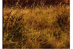 Signature image, click to enlarge