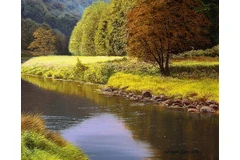 Signature image, click to enlarge