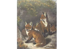 Large image, click to enlarge