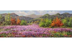 No frame image, click to enlarge