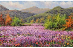 Large image, click to enlarge