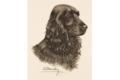 Large image, click to enlarge