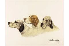 No frame image, click to enlarge