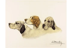 Large image, click to enlarge