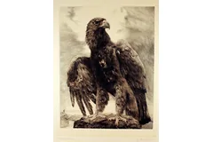 Large image, click to enlarge