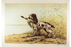 No frame image, click to enlarge