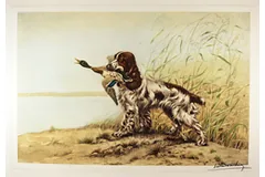 Large image, click to enlarge