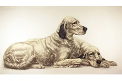 Large image, click to enlarge