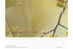 Signature image, click to enlarge