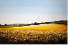 No frame image, click to enlarge