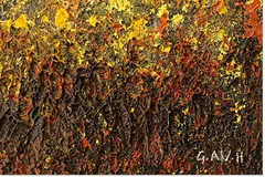 Signature image, click to enlarge