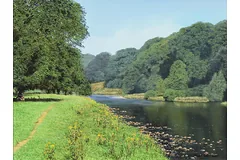 No frame image, click to enlarge