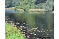 Signature image, click to enlarge