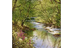 No frame image, click to enlarge