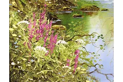 Signature image, click to enlarge