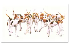 No frame image, click to enlarge