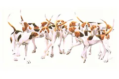 Large image, click to enlarge