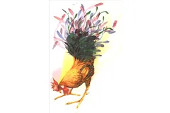 Large image, click to enlarge