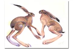 No frame image, click to enlarge