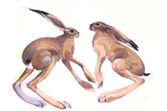 Large image, click to enlarge