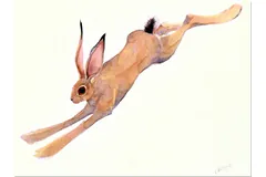 Large image, click to enlarge