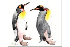 No frame image, click to enlarge