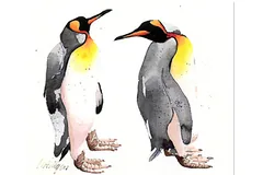 Large image, click to enlarge