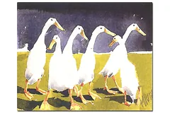 No frame image, click to enlarge