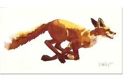 No frame image, click to enlarge