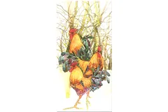 Large image, click to enlarge