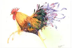 Large image, click to enlarge