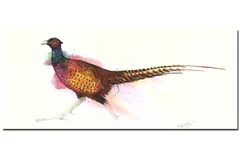No frame image, click to enlarge