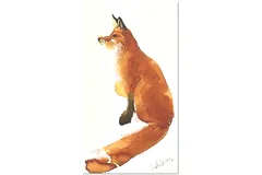 No frame image, click to enlarge